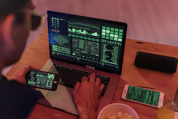 How Can Owning a Pet in the UK Transform Your Daily Routine?